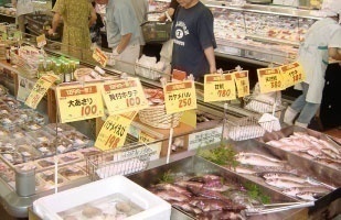 新鮮な魚も豊富