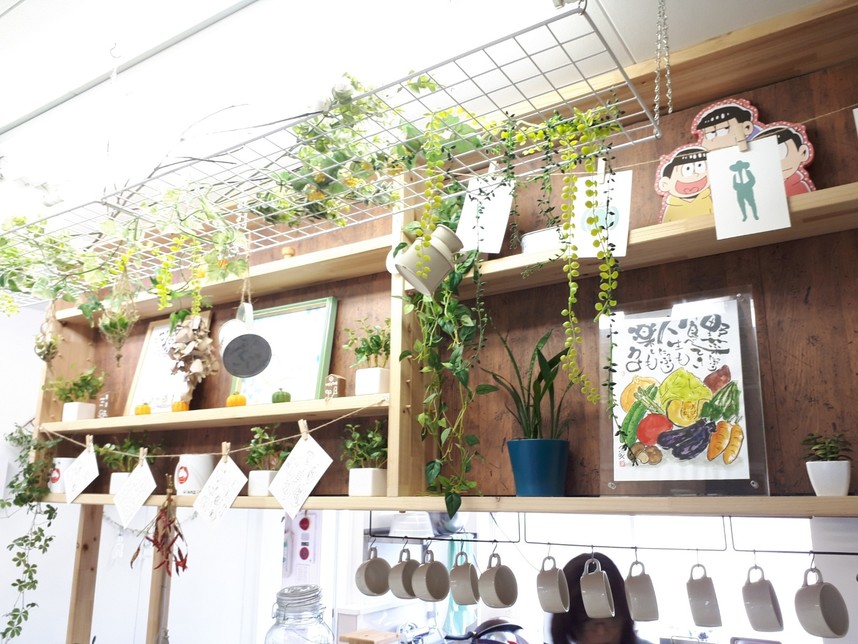 ↑きらずやさんの棚♪