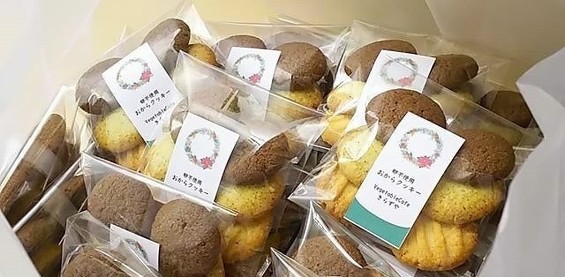 写真はイメージです